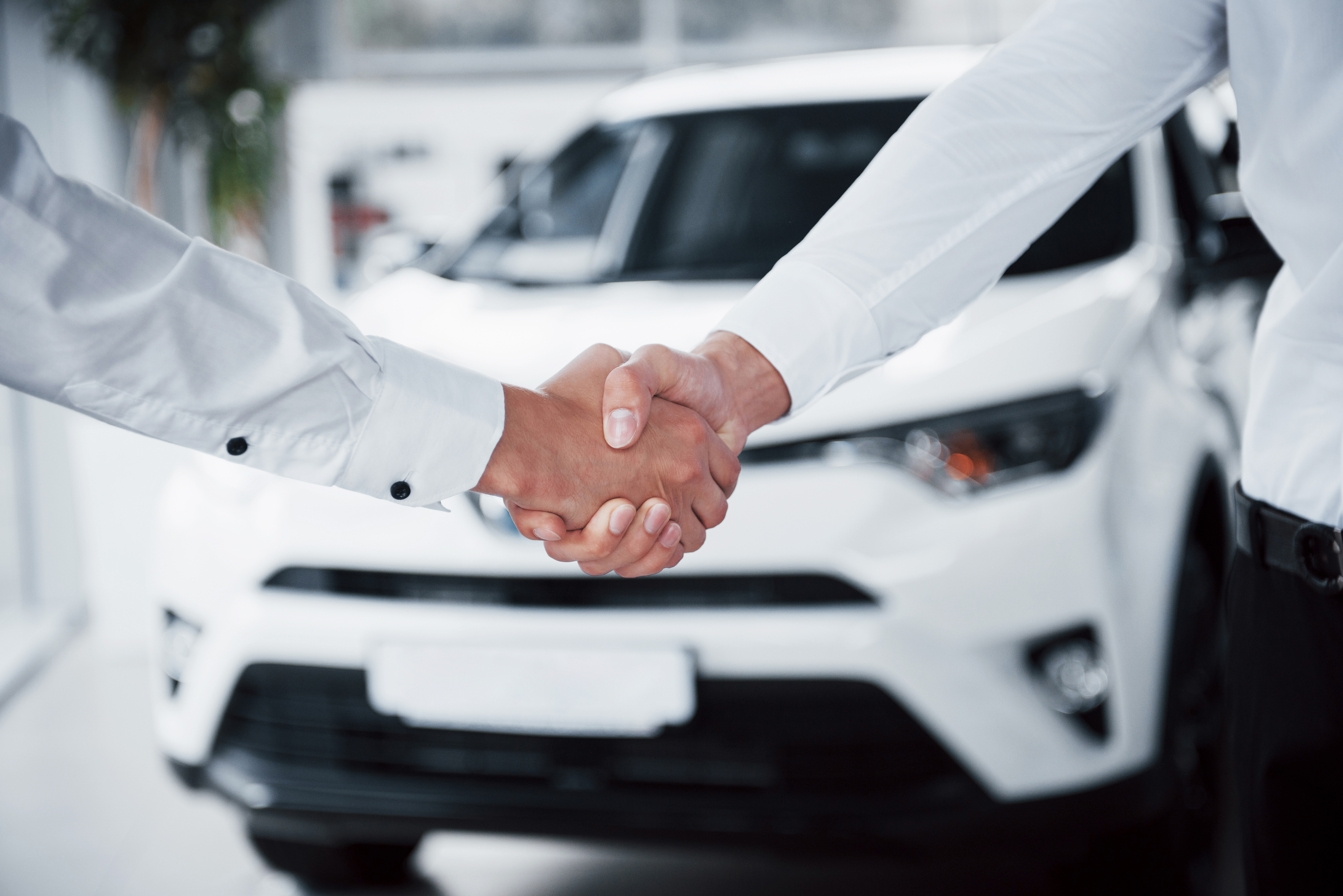 Car auction buying guidance